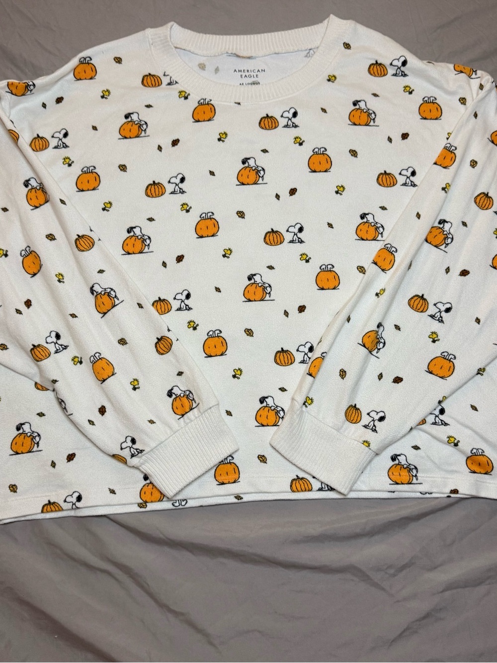American Eagle x Peanuts Snoopy Pumpkin Fall Pajama / Lounge Set
